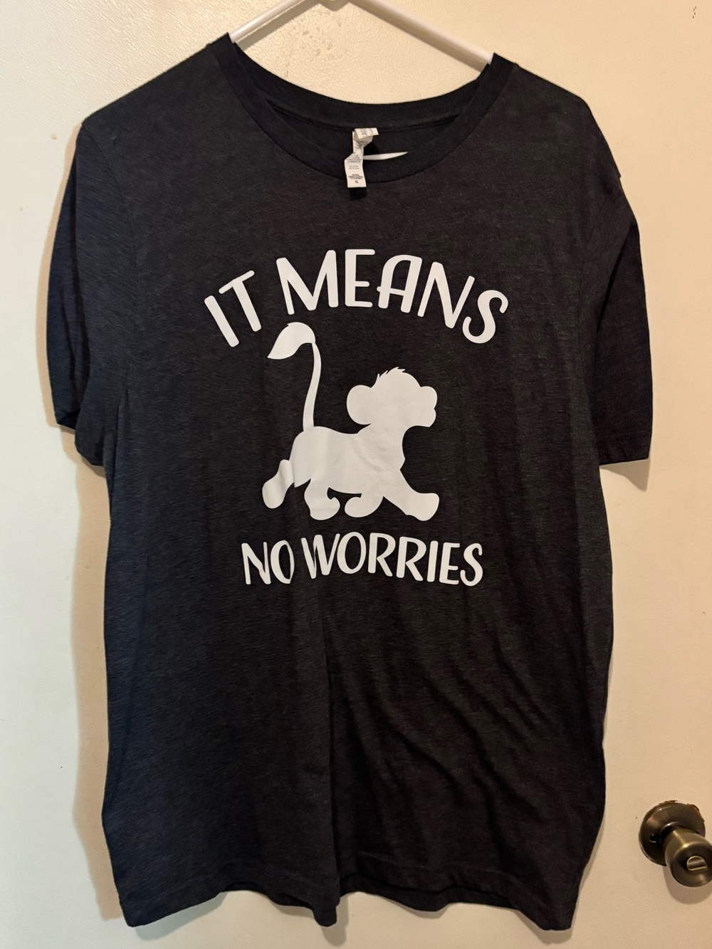 Bella Canvas Dark Gray Disney Lion King Shirt with White 'It Means No Worries'